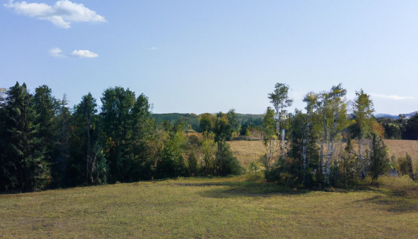 Aerial drone photo of a Minnesota vacant land parcel for an online listing